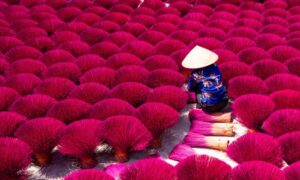 vietnam mejor epoca viajar