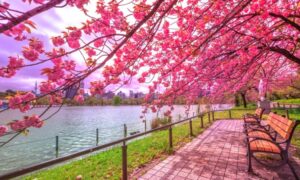 Parque Ueno Tokio