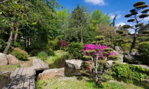El Jardín de Plantas