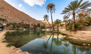 Oasis del Desierto Occidental