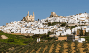 Olvera cadiz