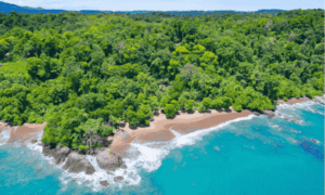 corcovado costa rica