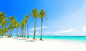 punta cana en navidad