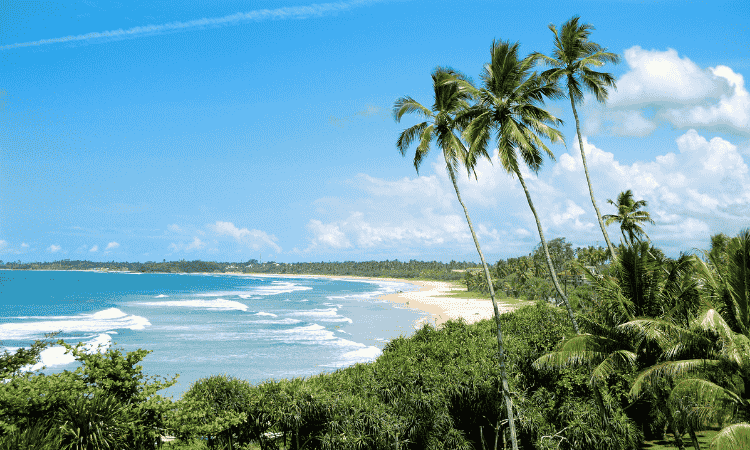 Las mejores playas paradisíacas de Sri Lanka
