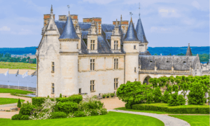 Castillo Amboise