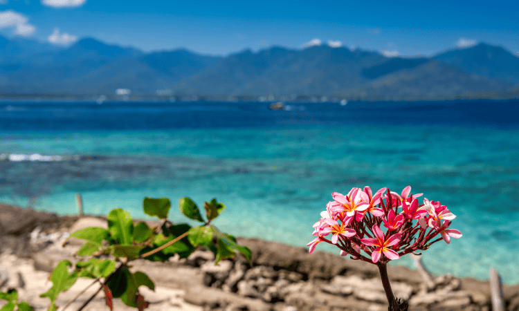 Que ver y hacer en las Islas Gili