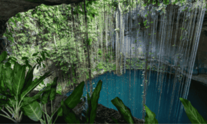 cenotes riviera maya